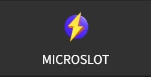MicroSlot